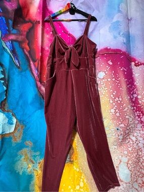 Unique Vintage Mauve Velvet Tie-Front Jumpsuit.
